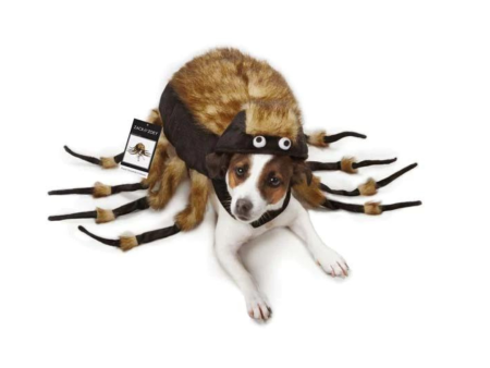 Zack & Zoey Fuzzy Tarantula Costume - different sizes Supply